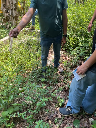 The image shows an outdoor scene, likely in a rural area in Pinahuista, Mexico, judging from the vegetation. Two individuals are present. One is holding a bundle of thin wooden sticks. Both individuals are standing amongst leaves, dead foliage, and green shrubbery. The person on the right is holding a white card. The ground is covered in natural elements, suggesting an unmaintained area.