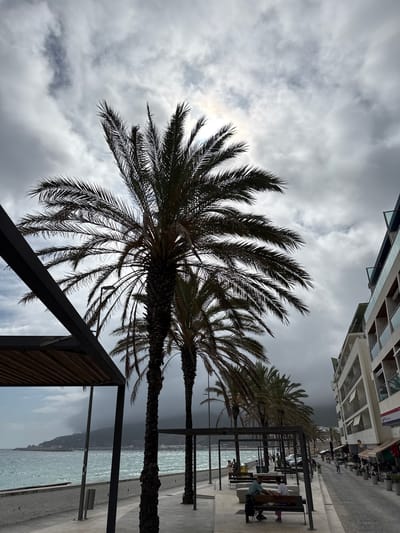 The media file depicts a cloudy day scene with palm trees in the foreground, silhouetted against a bright sky. The view is angled upwards, with a modern building visible in the upper right quadrant of the image. The scene appears to be a waterfront promenade, with a body of water, likely the sea, to the right, reflecting the overcast sky. Palm trees line the walkway, and in the distance, there are more palm trees and a coastline with hills.

Several people are visible on the promenade. Some are sitting on benches beneath a covered structure, while others are walking along the paved walkway. A few individuals are seated at outdoor tables in front of a building that appears to be a restaurant or cafe. The mood of the scene is somewhat muted due to the cloudy weather, but the presence of people enjoying the outdoor space suggests a relaxed atmosphere. The overall setting is that of a coastal town or resort.

Notable details include the overcast sky, which suggests it is either early morning or late afternoon, or a generally cloudy day. The presence of the sea and the palm trees clearly indicates a Mediterranean or similar coastal climate. The architecture of the building suggests a modern urban development. There is some visible text on signage on the building in the upper right corner, but it is too blurry to be legible. The overall impression is a tranquil, possibly slightly breezy day by the sea.