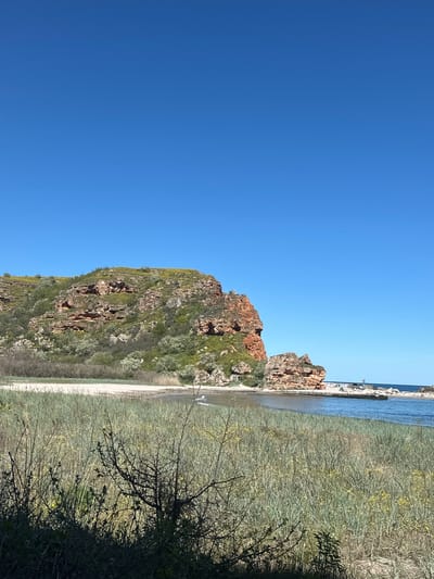 A vibrant outdoor landscape captures a rugged coastal or lakeside scene under a clear blue sky. The majority of the frame is dominated by a vast, cloudless expanse of deep blue sky.
In the lower left and central portion, a large, prominent rocky cliff or hill rises, showcasing reddish-brown rock formations interspersed with patches of green and brownish, somewhat arid-looking vegetation. To the right of this rocky landmass, a calm body of water, likely the sea or a large lake, stretches horizontally across the image, reflecting the clear sky. A narrow strip of light-colored sand or dirt forms a beach or pathway at the water's edge, running along the base of the rocks.
The foreground on the right side is filled with dense, wild vegetation, including tall, dry grasses and shadowy, thorny bushes. Scattered among this foliage are small yellow blossoms, suggesting a specific season. In the far distance, across the water on the right, a faint man-made structure, possibly a breakwater or jetty, is visible extending into the water. A very small, distant white figure or object can be seen on the sandy strip near the water, to the left of the main rocky hill.
The image depicts a bright, sunny day with no clouds, indicating clear weather. The lighting suggests it is daytime, likely morning or afternoon. No specific activity is clearly discernible, contributing to a peaceful and expansive atmosphere. There is no visible text in the image. The scene is consistent with coastal landscapes found in areas like Balgarevo, Bulgaria.