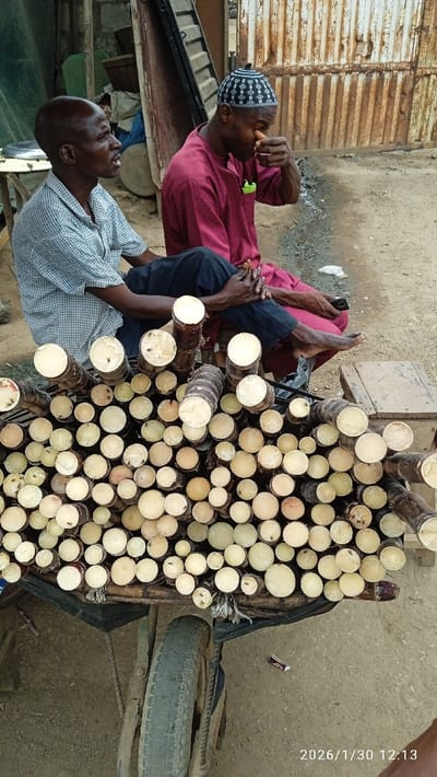 An outdoor scene in Ijaiye, Nigeria, depicts two adult males seated behind a heavily loaded handcart of sugarcane. The male on the left, bald and wearing a light-colored plaid shirt and dark trousers, is seated with clasped hands, looking to his left. The male on the right, wearing a dark red traditional garment and a black and white patterned skullcap, is seated with bare feet, his right hand near his face.
In the foreground, a two-wheeled cart is piled high with numerous cut segments of sugarcane, displaying their pale yellow cross-sections and dark outer skins. Several small insects are visible on the sugarcane ends. The ground is dry, light-colored dirt with scattered debris, including a small red-brown rectangular object and a piece of white litter.
The background on the right features a rusted, corrugated metal surface, while the left background shows an indistinct assortment of items, including what appears to be a green tarp and various containers. The image is timestamped "2026/1/30 12:13".