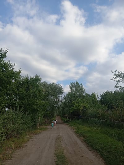 An outdoor, eye-level, medium shot captures a dirt road leading into a wooded area under a cloudy sky. Two children, a boy in a blue shirt and yellow shorts, and a girl in a pink shirt and white pants, walk away from the camera on the dirt path. The boy is slightly ahead of the girl, and she appears to be pointing to something in the distance. Dense green foliage lines both sides of the road, with trees and various plants creating a natural corridor. The sky above is a mix of blue patches and large, white, fluffy clouds, suggesting a partly cloudy day. The scene is situated in the city of Kızıl-Bel, Kyrgyzstan.