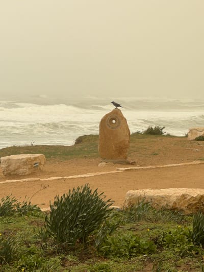 The image captures a coastal scene in Jisr az-Zarqa, Israel, characterized by an overcast and hazy atmosphere. In the midground, a dark-feathered bird, possibly a crow, is perched facing right on the uppermost point of a light-brown, roughly rectangular stone monument. This monument stands vertically and features a circular opening near its top, surrounded by circular inscriptions in what appears to be Hebrew text. A curved, light-brown dirt or gravel path, edged with smaller stones, is visible in the mid-to-foreground, leading towards the left. To the left of this path, a large, rectangular, light-colored stone block is situated, displaying a blue and white striped trail marker on its side. The ground surrounding the path and monuments is covered with sparse green grass and various low-lying green plants, some with small yellow flowers. In the background, a turbulent, grey-white sea exhibits large, breaking waves. The sky above is a uniform, pale yellowish-beige, with the horizon line indistinct due to the atmospheric haze. No people are visible in the scene.
