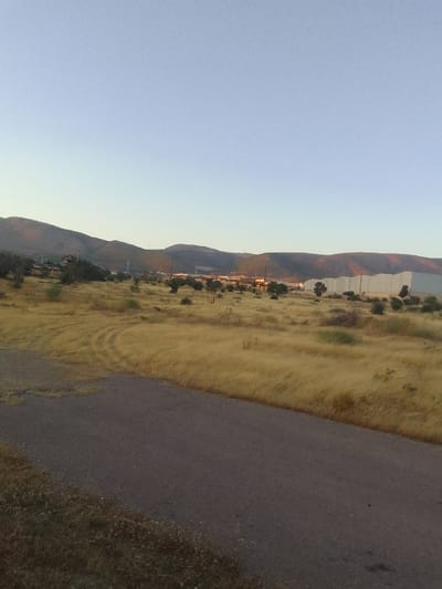 A wide, low-angle shot captures a semi-arid landscape under a clear, pale blue sky. The foreground is dominated by a rough, dark asphalt path that curves into the scene from the lower left corner. Beyond the path, the ground is covered in dry, golden-brown grass, appearing windswept with tire tracks visible in some areas. Scattered, dark green, low-lying bushes punctuate the grassy expanse.
In the mid-ground, a range of undulating, dusty brown hills rises, their slopes dotted with more of the dark green vegetation. A few scattered buildings, one with a red roof, are nestled on the lower slopes of the hills. Further into the distance, industrial-looking structures with white, peaked roofs stretch horizontally across the frame, interspersed with utility poles and wind turbines that stand silhouetted against the distant hills. The lighting suggests it is late afternoon or early evening, with the sun casting a warm, soft glow on the upper parts of the hills and illuminating the edges of the industrial buildings. The overall mood is one of quiet vastness and rugged natural beauty, with a hint of human industrial presence. There is no visible text in the image.