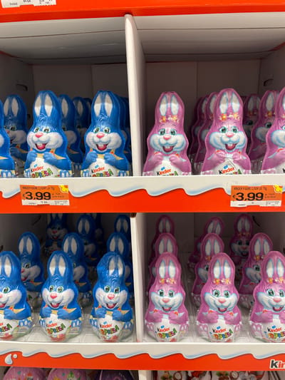 A retail display within a supermarket in Monsummano Terme, Italy, exhibits multiple rows of foil-wrapped chocolate bunnies. The subjects are Kinder Sorpresa brand chocolate figures, specifically "Kinder Figure C/Sorp Lui 75g" as indicated on the price labels.

The display unit features white cardboard dividers and a prominent red header shelf trim. Two primary types of chocolate bunnies are presented:
1.  **Blue Bunnies:** These figures are predominantly blue and white, depicting male rabbits with cheerful expressions, holding a Kinder Surprise egg. They are arranged in rows on white display trays within the shelving unit.
2.  **Pink Bunnies:** These figures are predominantly pink and white, depicting female rabbits adorned with floral headbands, also with cheerful expressions and holding a Kinder Surprise egg. They are similarly arranged in rows on white display trays, separated from the blue bunnies by a vertical divider.

Each type of bunny is stacked in at least two visible tiers. Price tags are affixed to the red trim of the shelf, clearly displaying "€3.99" for the 75-gram figures. Additional textual information on the tags includes product codes and further pricing details. The environment is illuminated uniformly, consistent with indoor commercial lighting. No individuals or active interactions are present in the frame; the scene solely depicts a static product display.