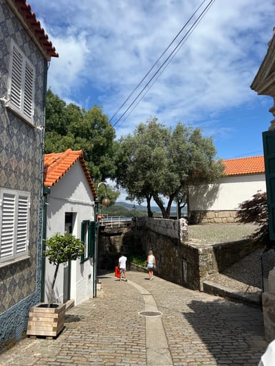 The image depicts a sunlit, downward-sloping cobblestone street in Vila Nova de Cerveira, Portugal. The sky above is clear blue with scattered white clouds, crossed by three utility lines.
To the left, a building exhibits a facade covered in blue and white azulejo tiles, featuring two windows with white louvered shutters, and an orange tiled roof. Below this, a smaller white building with an orange tiled roof presents a window with green louvered shutters and an attached spherical street lamp. A small tree in a square wooden planter stands on the cobblestones beside this building.
The street's right side is bordered by a stone retaining wall, which supports another structure with a white wall and an orange tiled roof. A partial view of a building with dark green shutters is visible at the far right.
Two individuals are observed from behind, walking down the street. The lead individual, a male, wears a white t-shirt and patterned shorts, carrying an orange bag in his left hand. Following him is a female in a white sleeveless top and light-colored shorts.
Green trees are visible in the mid-ground, with a body of water and distant hills discernible in the background. Shadows are cast on the right side of the street and buildings, indicating a sunny environment. A circular manhole cover is present in the central, smoother strip of the cobblestone street.