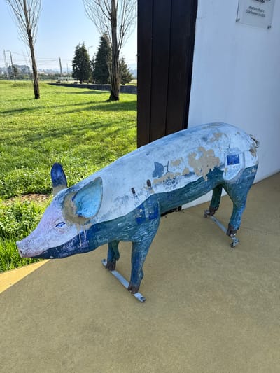The image displays a life-sized pig sculpture on a light yellow paved area in Mealhada, Portugal. The sculpture exhibits a faded paint scheme of light blue and white on its upper body, with extensive peeling, exposing a lighter material. Its lower body is painted a darker blue-green. Distinct blue ears, a pale snout, and closed blue eyes are discernible. The sculpture's blue legs are stabilized by silver-colored metal bars fitted with small wheels. Adjacent to the sculpture, a white building wall features a visible rectangular plaque with partial Portuguese text, including "Abertura oficial" (official opening) and "5 de fevereiro de 2016". Beyond the paved area, a manicured green lawn with several tall, deciduous trees extends under a clear blue sky.