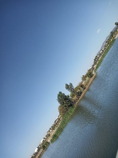 The scene depicts an outdoor environment featuring a body of water and a vegetated bank under a clear sky, presumed to be in the city of La Venta, Mexico. The image is tilted counter-clockwise, positioning the horizon diagonally across the frame from the lower-left to the upper-right. The upper-left portion of the frame is dominated by a clear, bright blue sky, with a single faint white cloud visible near the upper-right sky edge. The lower-right portion shows a calm body of water, exhibiting a dark blue-green hue with subtle surface ripples. A strip of land, serving as the bank, separates the water from the background. This bank is densely vegetated, featuring a band of lighter green foliage immediately adjacent to the water, followed by taller trees with dark green and some brownish leaves. A notable cluster of two large, dark green trees stands prominently on the bank, roughly centered vertically within the land portion of the image. Further inland, beyond the immediate vegetation, scattered trees and several small, white structures are intermittently visible along a distant landmass or urban edge. No individuals, animals, or active subjects are present. The environment suggests a daylight setting.