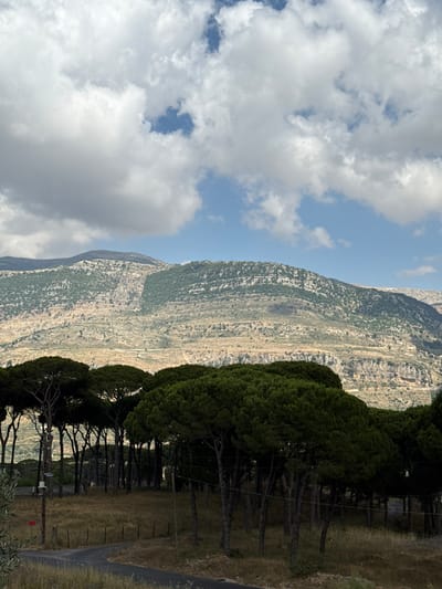 The image shows a scenic view of a mountainous landscape in Sabbah, Lebanon. The scene is dominated by a large, rocky mountain that slopes upward and away from the viewer. The mountain's surface is textured with dry vegetation and appears to be sparsely populated with small green shrubs. The sky is partly cloudy with patches of blue visible between the fluffy white clouds.
In the foreground, a line of tall, dark green pine trees runs along the right side of the image. Their dense foliage creates a stark contrast with the lighter tones of the mountain and sky. The trees are arranged in a somewhat orderly fashion, suggesting they might be part of a plantation or a cultivated area. Beyond the trees, a dry, grassy field extends towards a dark, paved road that curves away into the distance. The ground on the right side appears dry and somewhat parched, indicating a warm, possibly dry climate.
There are several man-made objects visible among the trees and near the road. These include what appear to be utility poles with wires strung between them, a small electrical box, and a red sign with white text, though the text itself is not legible. The overall impression is of a rural, natural setting with some signs of human infrastructure. The lighting suggests it is daytime, possibly late morning or afternoon, given the bright light and clear visibility. The scene evokes a sense of peacefulness and natural beauty, characteristic of a mountainous region.