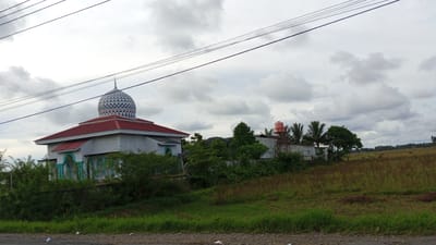 A medium shot captures a mosque with a distinctive blue and white patterned dome and a red roof, situated in Cotbadatunong, Indonesia. The mosque, a white building with green arched windows, is partially obscured by dense green foliage. To the right of the mosque, a water tower with an orange tank stands adjacent to a low-rise building, surrounded by more trees. In the background, a vast, open field with dry grass stretches towards a treeline and a hazy sky filled with white and gray clouds. A few cows are visible grazing in the distant field. Power lines are strung across the upper portion of the frame. The foreground shows a rough, paved surface with some scattered debris, suggesting a roadside view.