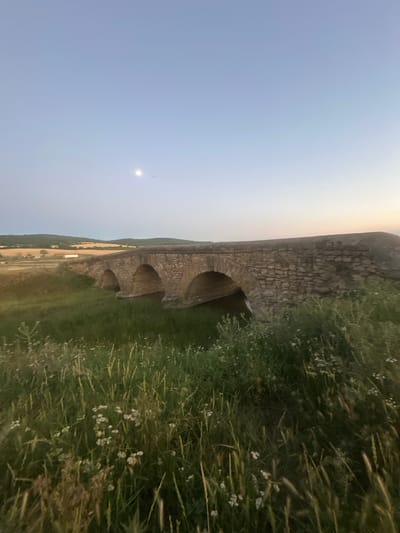The image captures an old stone bridge with multiple arches spanning a small body of water. The bridge is constructed from rough-hewn stones. The surrounding environment is a lush green meadow with tall grasses and small white wildflowers. In the background, rolling hills are visible under a pale blue sky with a visible moon. The scene appears to be set at dusk or dawn, given the soft lighting and the color of the sky. The location is identified as Filipeni, Moldova. There are no people or animals present in the image.