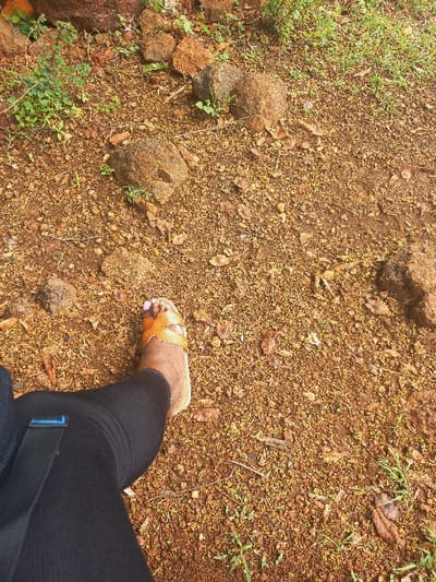 The image presents an overhead view of a reddish-brown earthen surface in Igambang'ombe ward, Kenya. The ground is uneven, covered with fine reddish soil, and extensively littered with small, light-brown particulate matter, possibly plant debris, along with several scattered dry leaves. Various irregular, medium-sized rocks, dark brown to grey in color, are distributed across the scene, particularly in the upper and left portions. Sparse green foliage, consisting of small plants and weeds, emerges from the soil in several areas. The lower left quadrant of the frame is occupied by a person's lower left leg and foot. The leg is covered by black, form-fitting fabric. The visible foot has a light brown skin tone, and the toenails are painted light pink. The foot is clad in a light brown, open-toed sandal featuring a cross-strap design over the forefoot. A black strap with a visible blue component is seen against the black fabric on the upper left side of the leg.