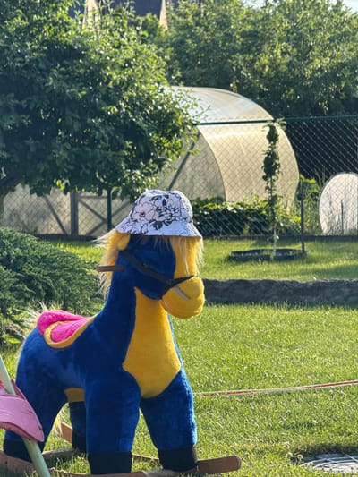 In the foreground of a sunlit grassy yard, a blue and yellow stuffed rocking horse wearing a white floral-patterned bucket hat stands on a wooden rocker. The horse has a pink and yellow saddle. To the left, a pink fabric piece is visible. In the background, a dense green hedge is to the left of a curved, transparent structure, possibly a greenhouse. Beyond that, a chain-link fence encloses the area, with trees and buildings visible in the distance. The scene is set in Astrashitskagaradokski rural council, Belarus.