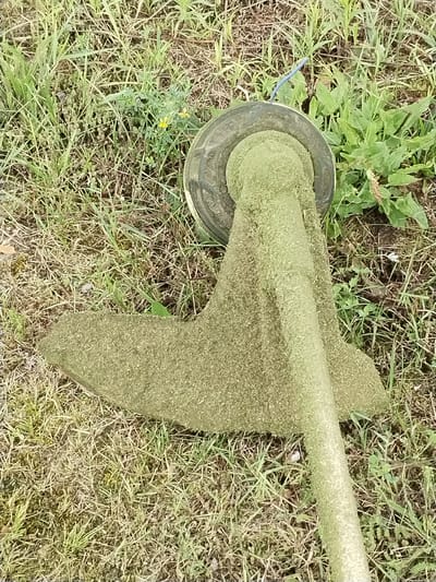An overhead shot shows a string trimmer with its head covered in grass clippings resting on a patch of dry, light brown grass with sparse green blades and some weeds. A few small yellow flowers are visible to the left of the trimmer head. A blue cord extends from the trimmer head. The location is Гожскі сельскі Савет, Belarus.