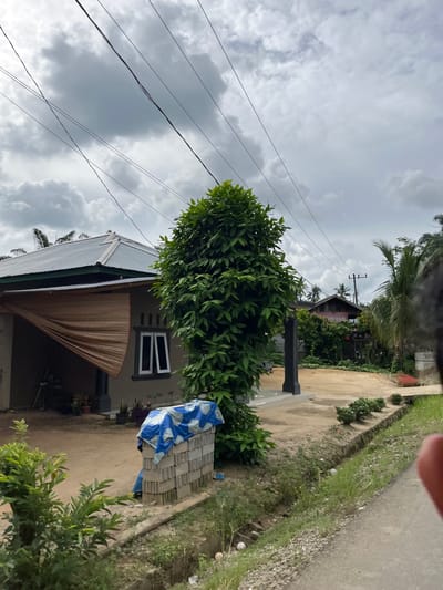 The image depicts an overcast day in a rural or semi-rural area, likely in Sukamulia, Indonesia. In the foreground, a stack of gray concrete blocks is covered with a blue and white tarp. To the left, lush green foliage dominates the frame, with a tall, dense tree in the middle ground. A light-colored house with a corrugated metal roof and dark trim is visible on the left side of the image, partially obscured by a beige woven material draped over its entrance. The house has two white-framed windows. The ground appears to be sandy dirt, with a small, overgrown ditch running alongside a paved or unpaved road on the right. In the background, more vegetation, including palm trees, and a building with a red sign can be seen. Electrical wires crisscross the sky. No people are clearly visible. The scene suggests a residential area undergoing construction or renovation, with a sense of a tropical climate suggested by the foliage and cloudy sky.