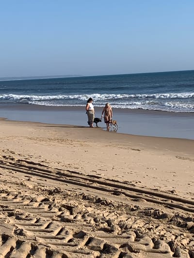 Two individuals and three dogs are walking on a sandy beach. The person on the left wears a white top and patterned pants, and is accompanied by a dark-colored dog. The person on the right wears a patterned dress and walks with two dogs, one dark-colored and one lighter brown. The ocean is visible in the background with waves breaking on the shore. The foreground shows tire tracks in the sand. This scene is consistent with the beaches of Costa da Caparica, Portugal, known for their extensive sandy shores and recreational activities.