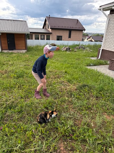 In the village of Pychanki, Russia, a young child sits on a grassy lawn, looking up at the sky. The child wears a navy blue long-sleeved shirt, beige shorts, a pink and blue baseball cap, and burgundy rain boots. To the child's right, a calico cat rests in the grass. The scene unfolds in front of a residential area with several houses, their roofs made of dark tiles. The houses are made of brick and wood, and a metal fence separates the properties. The sky is cloudy, suggesting a slightly overcast day. The lush green grass indicates it is likely spring or summer. The child's posture and gaze suggest contemplation or observation of the sky. The overall atmosphere is peaceful and suggests a casual outdoor moment.