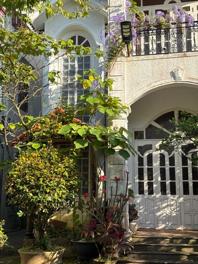 The image displays the sunlit exterior of a multi-story building, likely a residence, situated in Hội An Đông Ward, Vietnam. The building features a predominantly white, textured stucco facade with classical architectural elements, including stone-like pilasters and arched openings. On the upper level, a large arched window with multiple grid panes is visible on the left, while a balcony with a black, ornate wrought-iron railing extends on the right. Purple flowering vines are draped over the balcony railing and climb the adjacent wall. A black, three-panel solar-powered LED light fixture is mounted on the wall to the right of the upper arched window, next to the balcony. The lower level of the building presents a prominent arched double door with white panels and integrated window panes, leading to an interior via a short set of steps.

The scene is rich with vegetation. In the foreground and around the base of the building, numerous plants are present. These include a large, dense, spherical green shrub with small red flowers or berries, planted in a terracotta pot on the left. Several other potted plants, some with dark red foliage, are arranged on the ground and steps. A plant with striking red, spiky flowers grows near a fluted column on the lower right. Lush green foliage, including broad-leaved plants and vines, partially obscures parts of the building and casts dappled shadows across the facade and ground. The lighting indicates strong daylight, with clear shadows. No individuals or animals are depicted within the frame.