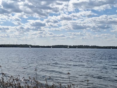 The image depicts a wide view of the Markkleeberger See in Markkleeberg, Germany, under a sky filled with scattered cumulus clouds. The water surface is rippled, reflecting the sunlight. In the distance, a tree-lined shore is visible with several wind turbines positioned on the horizon. Numerous sailboats are scattered across the lake. In the foreground, dry reeds and grasses are silhouetted against the water. The overall scene conveys a peaceful, daytime outdoor setting with recreational activities.