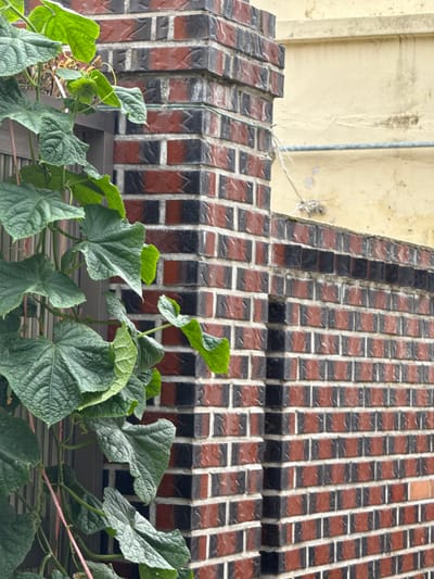 In Mokpo-si, South Korea, a brick pillar and wall are covered in vines. The brickwork is a mix of reddish-brown and black bricks, laid in a stretcher bond pattern. The pillar is on the left of the image, with the wall extending to the right and into the background. The vines, with large, green, textured leaves, climb over the pillar and onto a part of the wall. A portion of a grey window frame is visible behind the vines on the left. In the background, a pale yellow wall with a horizontal pipe is visible. The overall scene suggests an outdoor setting, possibly a garden or a courtyard, with overgrowth from the vegetation.