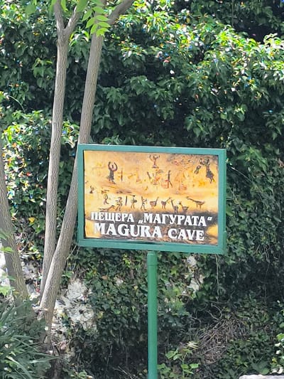 The image displays a vertically oriented outdoor scene featuring a descriptive sign against a dense natural background, presented with the location context of Raianovtsi, Bulgaria. The central subject is a rectangular sign with a dark green border and post, positioned slightly right of center. The upper portion of the sign features a detailed, multi-colored relief or painting depicting stylized anthropomorphic and zoomorphic figures in a manner consistent with prehistoric cave art. The figures, rendered in shades of dark brown, black, and orange against a lighter, ochre-toned background, include bipedal figures with raised arms, possibly depicting humans, and various quadrupedal animals. Below this artwork, the sign contains two lines of text: "ПЕЩЕРА „МАГУРАТА“" in Cyrillillic, followed by "MAGURA CAVE" in English.

To the left of the sign, two slender tree trunks with textured, light brown bark are visible, extending vertically. The background consists of abundant, dark green foliage, possibly ivy, covering a wall or dense bushes. Scattered throughout the foliage are small, bright, multi-colored glints, suggesting specular reflections from sunlight on wet leaves or other small objects. The lower left quadrant of the image shows additional green vegetation. Below the dense foliage and behind the sign's post, a lighter-toned, textured surface, possibly a wall or ground covered in lighter growth or rock, is visible. The overall scene is illuminated by natural light, casting no distinct shadows, suggesting an overcast day or indirect lighting conditions.
