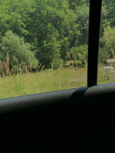 A view through a car window shows a lush green forest and a sunlit grassy field. The forest is dense with trees, and the grass appears tall and somewhat wild. In the distance, there is a wooden structure resembling a small shed or building with a light-colored roof and a white object in front of it. The grass field is dotted with what appear to be thin, vertical wooden poles or posts, creating a rhythmic pattern. The image has a slightly motion-blurred effect, suggesting it was taken while the car was moving. The window itself has some text printed on it, including what looks like "RENAULT" and a product code. The interior of the car is visible in the foreground as a dark, textured surface, likely an armrest or door panel. The location is identified as Niederwetz, Germany.