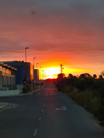 The image presents a striking sunset scene over a road in Nàquera, Spain. The sky is ablaze with vibrant hues, transitioning from a brilliant yellow and intense orange at the horizon, where the sun is low, to rich reds and purplish-gray tones higher up. A noticeable dark spot, likely dust on the camera sensor, is visible in the upper sky.
A two-lane asphalt road leads directly into the distance, reflecting the warm colors of the sky. It features dashed white lane markers and a painted white arrow on the asphalt indicating a straight-ahead and left turn. On the left side of the road, a row of modern buildings with reflective glass facades mirrors the intense orange glow of the setting sun. One building on the far left has a distinctive wavy roof structure and partially visible text, "SOLUCION," on its side. Silhouetted streetlights line the road on both sides, extending into the vanishing point.
The right side of the road is bordered by lush, dark green vegetation, including trees, dense bushes, and tall grasses, which contrast sharply with the bright sky. A prominent metal utility tower or electricity pylon stands tall amidst this greenery, starkly outlined against the brilliant sky. No people or vehicles are visible, contributing to a serene and almost surreal atmosphere, dominated by the dramatic natural light. The strong colors and low sun angle clearly indicate either a sunrise or, more likely, a sunset.