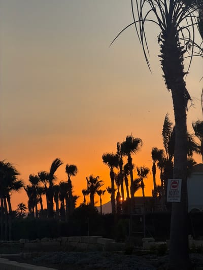 A silhouette of palm trees and other vegetation is visible against a vibrant sunset sky. The sky transitions from a pale yellow at the top to a deep orange near the horizon. Several birds are in flight in the upper portion of the sky. In the foreground, a stone wall and some gravelly ground are visible. On the right side of the image, a sign that reads "NO ENTRY" in English and Greek is attached to a palm tree. Behind the palm trees, there appears to be a building with white walls and a tiled roof. The scene is located in Pervolia, Cyprus.