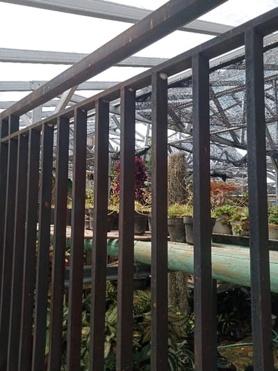 The image depicts a plant nursery in Kawungluwuk, Indonesia, viewed through a dark brown, vertically barred metal fence. The fence, showing signs of wear and minor rust, occupies the immediate foreground. Beyond the fence, a horizontal shelf holds numerous potted plants in dark plastic containers. Observable plant species include various succulents, leafy green plants, and one prominent plant with dark reddish-purple foliage. A tall, cylindrical, dried plant specimen stands centrally among the potted collection. Below the shelf, a thick, light green pipe runs horizontally, with additional variegated green and white plants visible at ground level. The overhead structure of the nursery consists of a translucent white roof supported by a framework of silver metal beams, beneath which a black shade netting is stretched. No individuals, explicit actions, or interactions are visible within the scene.