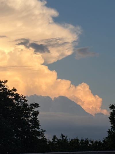 The image, captured in Kran, Bulgaria, presents a dramatic sky view with trees framing the scene. The original image is oriented vertically (portrait mode), with the top of the tree canopy visible along the right edge and the bottom of the tree canopy along the top edge of the frame.
The majority of the image is filled with the sky and cloud formations. Towards the left and center, large, fluffy cumulus clouds are brightly illuminated with warm, golden and peach tones, suggesting the light of a late afternoon or early evening sun. These radiant clouds contrast with areas of darker, shadowed grey and blue clouds interspersed throughout, creating a strong sense of depth and volume. Wisps of lighter, less dense clouds are also visible against the lighter blue sky in the upper left-central portion.
The sky itself transitions from a clearer, lighter blue on the far left to deeper, more muted blue-grey tones behind the shadowed clouds on the right side. The tree foliage, dark and silhouetted against the brighter sky, consists of dense leaves and branches, but no specific species can be identified. No people, objects other than clouds and trees, or visible text are present. The scene evokes a sense of natural grandeur and tranquility.