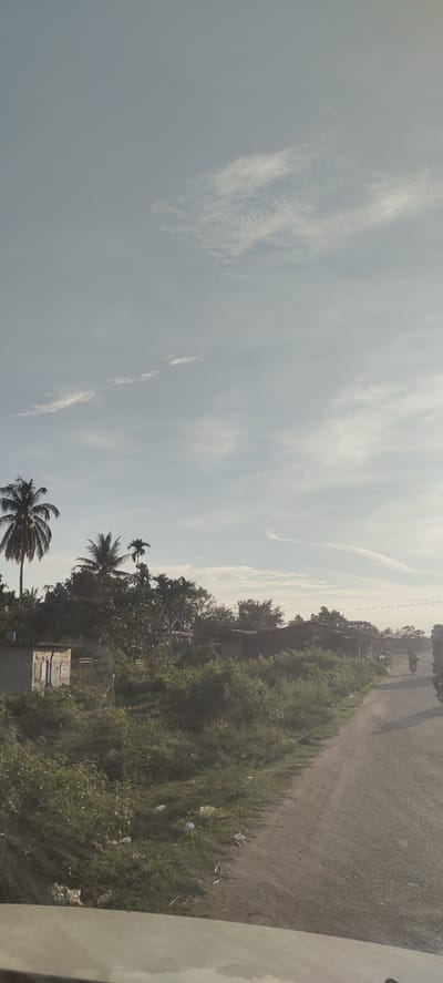 This is a photograph of a roadside scene in Sumbokrayek, Indonesia, captured at ground level, likely from within a vehicle. The image depicts a rural or semi-rural environment under a pale blue sky with scattered wispy clouds.

In the foreground, a portion of a vehicle's hood or dashboard is visible, indicating the perspective of the photographer. The road itself occupies the right side of the frame, appearing to be an asphalt surface with a gravelly shoulder. To the left of the road, dense green vegetation and some scattered debris, including plastic bottles and wrappers, line the embankment.

Further back, a line of trees and shrubs creates a natural barrier. Among the trees, several structures are visible. A small, light-colored building with a door is situated in the middle ground. Beyond this, there are more trees and a few low-lying buildings with reddish-brown roofs. Tall palm trees are prominent throughout the landscape, suggesting a tropical climate.

In the distance, on the right side of the road, a person is seen riding a motorcycle or scooter. The overall impression is one of a quiet, undeveloped area on the outskirts of a settlement. The lighting suggests it is either early morning or late afternoon.