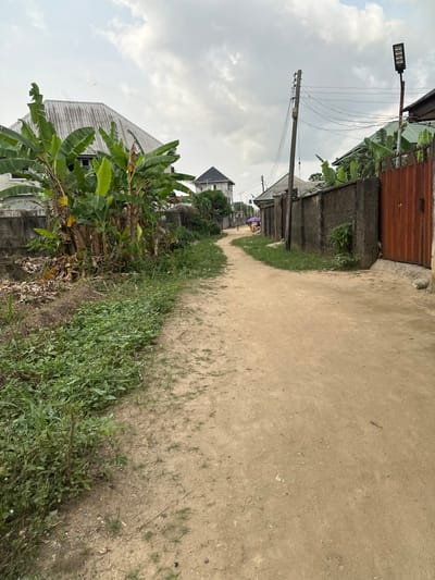 A dirt road extends into the distance, flanked by buildings and lush greenery. A wooden gate and concrete wall border one side, while banana trees and vegetation line the other. Overhead, a utility pole carries electrical wires. The sky is overcast with gray clouds. The road leads to distant figures and more buildings, suggesting a residential area.