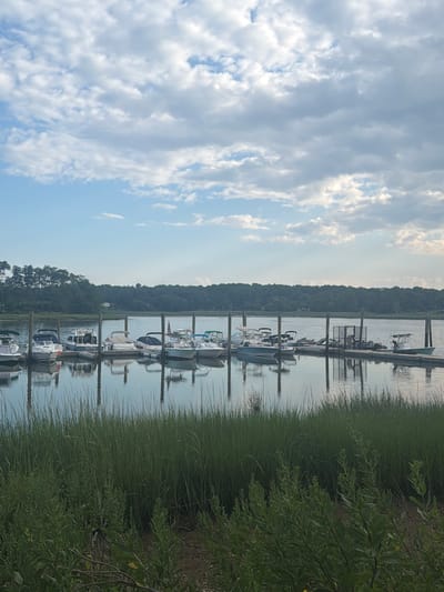 The image shows a serene marina scene at the Village of Bayville, United States of America. Several boats are docked along a wooden pier, their reflections shimmering on the calm water. Tall, green grass grows in the foreground, leading down to the water's edge. In the background, a dense line of trees forms a natural backdrop against a sky filled with scattered clouds. The overall atmosphere is peaceful and tranquil, capturing a typical day at a waterfront community.