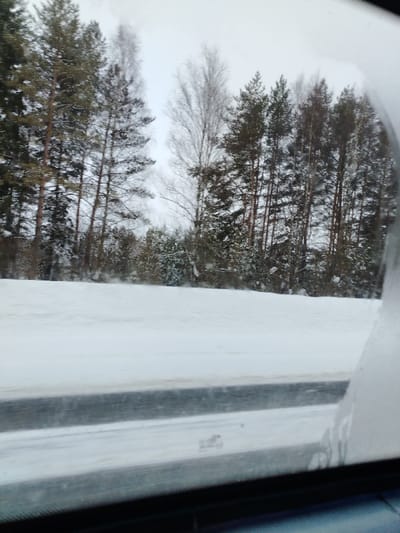 A winter scene viewed through a car window shows a snow-covered landscape. Trees, some evergreen and others bare, line the horizon. A thick layer of snow covers the ground, blending with the overcast sky. The car window is partially obscured by condensation or frost, particularly on the right edge, suggesting the cold outside temperature. A blurry section on the bottom of the image indicates the interior of the car.