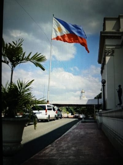 The image shows a Philippine flag flying on a flagpole against a cloudy blue sky. The flag has three horizontal stripes: blue at the top, red at the bottom, and a white triangle at the hoist with a yellow sun and three stars. To the left of the flag, there are lush green palm fronds. In the background, a white van and other vehicles are parked on a paved road. To the right, a portion of a building with architectural details is visible, and a dark-colored lamppost stands in front of it. A silhouetted figure of a person can be seen standing on a raised platform near the building. The scene appears to be outdoors, possibly in a public space or near a government building. There is no indication or visual information within the image to suggest the location is Golbembal, Nigeria.