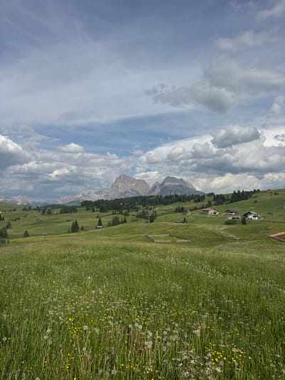 The image depicts a scenic mountain landscape in Kastelruth - Castelrotto, Italy. The scene is dominated by a vast, rolling green meadow filled with tall grasses and wildflowers, including dandelions in both white fluffy and yellow blooming stages, as well as other small yellow blossoms. Several wooden structures, possibly fences or gates, are visible within the meadow. In the mid-ground, a series of small, traditional Alpine houses with dark roofs are scattered across the hillside, interspersed with scattered evergreen trees. The background features a dramatic mountain range with rugged peaks, some of which are covered in scree. The sky above is a mix of blue and white, with large, puffy cumulus clouds casting shadows on the landscape. The orientation of the image suggests it was taken vertically. The overall impression is one of a serene, natural environment under a partly cloudy sky, likely during daytime. There is no visible text in the image.