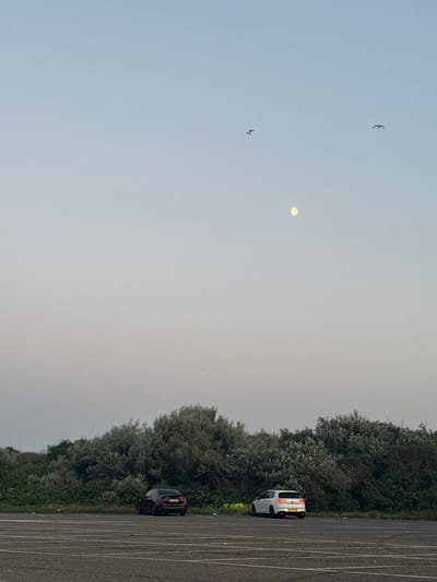 The image depicts a parking lot in the city of Hook of Holland, Netherlands, with a dense line of trees and bushes serving as a backdrop. The sky is a gradient of light blue and pink, suggesting either dawn or dusk. A faint, pale yellow moon is visible in the upper right quadrant of the sky, accompanied by two birds in flight. In the foreground, two cars are parked on the asphalt lot. A black sedan is parked on the left, and a white hatchback is parked to its right. The parking lot appears to be mostly empty, with parking lines faintly visible on the ground.