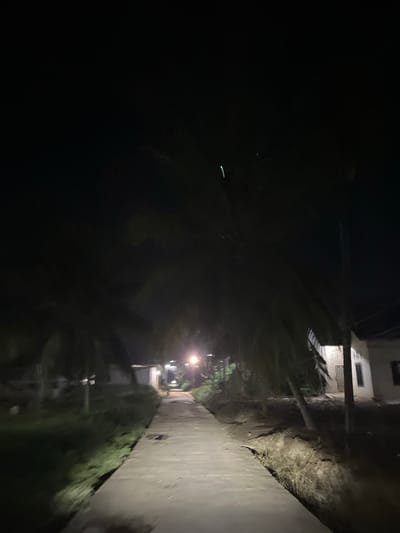 The image depicts a nighttime scene on a paved pathway in Landuh, Indonesia. The pathway is illuminated by a few streetlights, casting long shadows and creating a somber atmosphere. Tall, slender palm trees line the path on both sides, their fronds obscuring parts of the sky and the surrounding environment. To the right of the pathway, a low-lying structure, possibly a residential house, is visible, with a single light emanating from an open doorway or window. The ground adjacent to the pathway appears to be uneven and overgrown with vegetation. The overall impression is one of a quiet, rural setting at night.