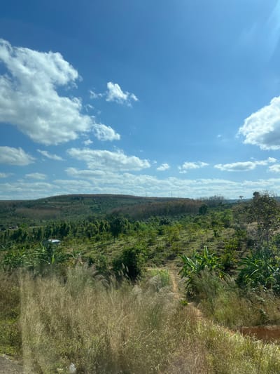The scene depicts a clear blue sky filled with puffy white clouds stretching across the horizon. Lush green vegetation covers the terrain, transitioning from darker green trees and shrubs to lighter, dry grasses along a path or edge. The landscape appears to be viewed from an elevated position, with the sky occupying a significant portion of the frame.