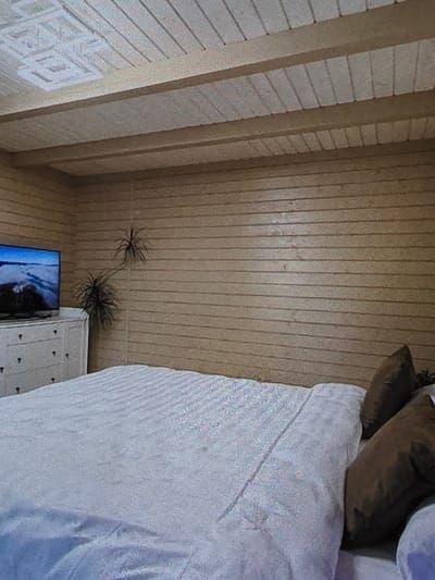 A bedroom with wood-paneled walls and a beamed ceiling is shown. The room contains a large bed with white bedding and two dark brown pillows, a white dresser with a television on top, and two small, spiky potted plants. The television screen displays an image of a sandy beach. There is no indication of the location in Dubno, Ukraine.