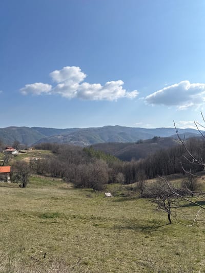 This image depicts a wide landscape view in Borinovo, Bulgaria, under a clear blue sky with scattered white cumulus clouds. The scene is dominated by undulating terrain, suggesting a mountainous or hilly region.
In the immediate foreground, sparse, dry green and brown grass covers a gently sloping field. Bare branches of deciduous trees are visible on the right, with a small, leafless tree casting a short shadow in the lower-right midground.
The midground features a transition from the grassy field to denser clusters of trees. On the left, two residential structures are discernible. The lower house possesses light-colored stone walls and a prominent orange/red tile roof. Further up the slope, a second house with a darker roof is partially visible. Between these structures and extending into the valley, deciduous trees stand largely bare, indicating late winter or early spring. A small, light-colored wooden structure, possibly a shed or utility cover, is situated near the bottom center of the midground, partially recessed into the terrain. A faint fence line or row of posts crosses horizontally through the midground.
The background consists of multiple layers of forested hills and mountains, receding into a blue haze. These distant slopes display a mix of bare deciduous and darker evergreen trees. No people or overt actions are visible within the frame. The lighting suggests midday conditions with bright sunlight.