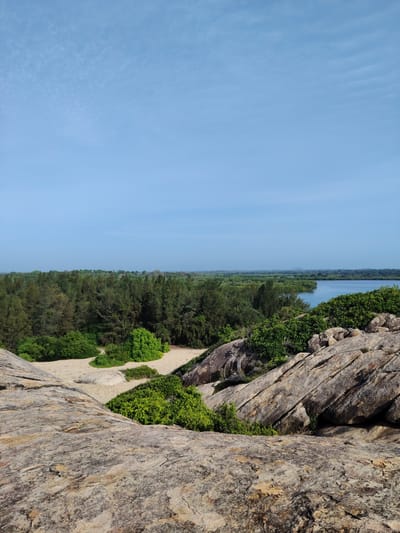 The image depicts a scenic view from a rocky outcrop overlooking a lush green landscape and a body of water. In the foreground, large, weathered rocks with textured surfaces are prominent. Beyond the rocks, a sandy patch of land is visible, dotted with low-lying green bushes. A dense forest of tall trees with dark green foliage stretches across the middle ground, leading to a serene body of water, likely a river or lagoon, on the right side of the image. The water reflects the clear blue sky. The background consists of a hazy, distant landscape with more greenery and a faint outline of mountains under a bright, cloudless sky. This location appears to be the Panama Beach area in Panama, Sri Lanka, known for its coastal beauty and natural terrain. There are no people or visible animals in the image. The scene is tranquil and untouched, showcasing a natural environment.