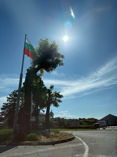 The image, originally oriented vertically, depicts a bright, sunny outdoor scene in Brestovets, Bulgaria. The sky is a clear, vibrant blue, traversed by delicate, wispy white clouds (likely cirrus). The sun, positioned high in the sky, is exceptionally bright, creating a strong lens flare effect in the upper left portion of the frame.
A prominent flagpole on the left proudly displays a flag with horizontal stripes of white, green, and red, clearly identifying it as the national flag of Bulgaria, reinforcing the provided location context. Lush, dark green trees dominate the mid-ground, their foliage illuminated by the intense sunlight, and their trunks casting shadows.
To the right, a paved road or path with a distinct white edge line curves into the foreground, alongside a curb and an area of dry grass and low vegetation. Beyond the road, several distant buildings are visible, appearing to be industrial or agricultural in nature. A tall utility pole or street light stands vertically, and concrete markers in red, white, and grey are arranged along the roadside.
The scene is devoid of people or discernible activity, captured under a brilliant midday sun, indicative of warm, clear weather. No legible text is visible on any of the objects.