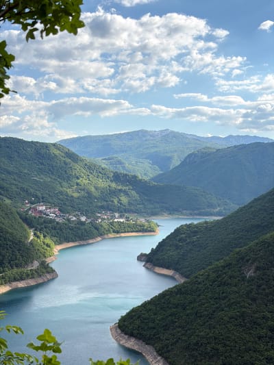 The image shows a scenic view of a body of water nestled between mountainous terrain, likely a lake or river based on its size and curvature. The water is light blue and still. Along one bank, a small village or town extends along the shoreline, interspersed with vegetation. The mountains surrounding the water are heavily forested with dense green trees and foliage. The sky above is partly cloudy, exhibiting a mix of blue sky and white, puffy clouds. The foreground of the image includes some foliage, indicating the vantage point is likely an elevated position overlooking the scene. This is Plužine, Montenegro.