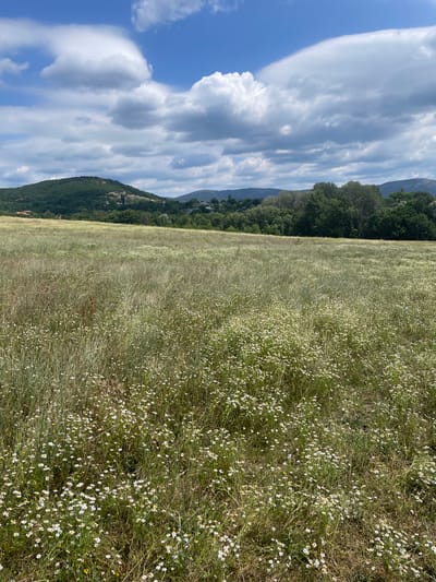 The image depicts a pastoral landscape under a partly cloudy sky. A vast field of dry grass and small white wildflowers dominates the foreground, extending towards rolling hills in the middle ground. The hills are covered in lush green trees and dotted with scattered houses, suggesting a rural settlement. In the distance, more hills form a natural horizon. The sky is a mix of bright blue and large, textured clouds, some of which are illuminated by sunlight. The scene appears to be located in the Orlinovsky District, Ukraine, characterized by its natural beauty and agricultural or undeveloped land. There are no people or animals visible in the image.
