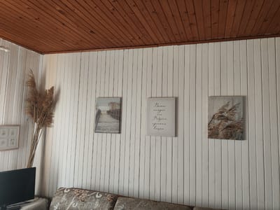The image shows an interior scene of a room with white paneled walls and a wooden slatted ceiling. Three framed artworks are hung on the wall: a diptych of a wooden walkway over water, a white canvas with handwritten text in Cyrillic, and a square canvas depicting dried grass. To the left, a framed picture with multiple small images is visible, along with a black television screen. A tall arrangement of dried reeds stands in the corner. In the foreground, the back of a sofa with patterned upholstery is visible. The scene is likely in a residential setting, and based on the available information, the location is Khryashchevka, Russia. There are no people or actions depicted.