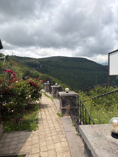 The media file captures a scenic view of a hillside covered in dense green trees, under a dramatic, overcast sky. A paved walkway, made of interlocking rectangular stones with a decorative pattern, runs along the right side of the frame, bordered by a stone and metal railing. Several spherical lights are mounted on stone pillars along the railing, suggesting this is an outdoor area, possibly a viewpoint or a garden path. In the foreground, a vibrant rose bush is in bloom, displaying a mix of red and white flowers, adding a touch of color to the scene. Beyond the walkway and railing, wild grasses and some yellow wildflowers grow. The overall impression is one of natural beauty combined with a man-made pathway designed to appreciate it. The time of day appears to be daytime, given the light, but the heavy cloud cover creates a subdued atmosphere. There is no visible text in the image. The location context is Goris, Armenia, which aligns with the mountainous, verdant landscape depicted.