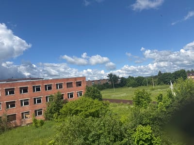 This is an outdoor, eye-level, wide shot of a landscape on a sunny day in Vasil'evskoe, Russia. In the foreground, dense green foliage partially obscures the view. Behind the foliage is a large, abandoned, multi-story brick building with numerous broken windows and boarded-up openings. Beyond the building, a wide expanse of overgrown grass stretches towards a treeline. A faint outline of a soccer goal is visible in the distance. The sky is a vibrant blue, dotted with fluffy white clouds, and a lone bird is visible soaring high above. Power lines and a single lamppost are also present in the background.