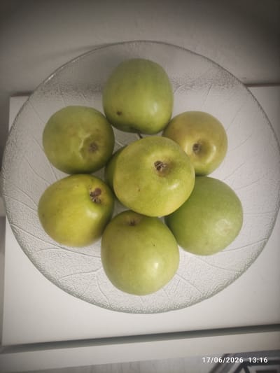 A clear glass fruit bowl with a textured leaf pattern on its surface contains seven green apples. The apples vary slightly in color, with some being a brighter green and others having a yellowish hue. They are arranged in a somewhat circular pattern within the bowl. The bowl is placed on a white surface. The background is a light gray, textured wall. In the lower right corner of the image, a timestamp reads "17/06/2026 13:16". There is no indication of the location being Gaziosmanpaşa, Turkey.