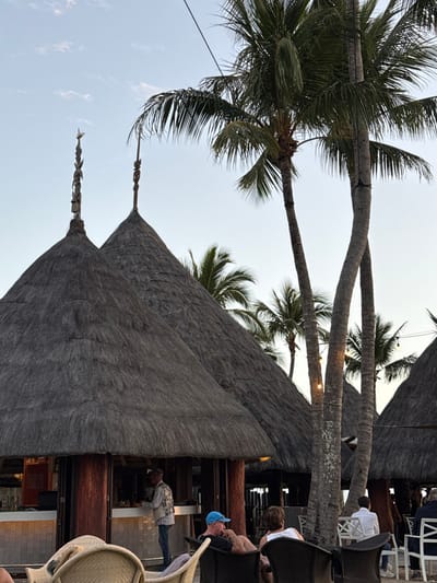 The image displays an outdoor, tropical resort setting at dusk in Noumea, France. In the midground, two prominent conical structures with dark thatched roofs are visible, each topped with an ornate carved wooden finial. The structure on the left features an open-air bar area, inside which a male staff member, wearing a patterned shirt and dark trousers, stands behind a light-colored counter. To the right of these structures, multiple palm trees with green fronds ascend into a pale blue sky. A string of illuminated lights is draped between two central palm tree trunks. In the foreground and midground, approximately seven individuals are present, primarily seated. A man in a blue baseball cap is seated in a dark wicker chair, facing right. Adjacent to him, another individual is seated in a similar chair. Further in the background, additional patrons are seated in white chairs. Other thatched structures and palm trees are partially visible in the background, and a thin black cable traverses the upper portion of the frame.