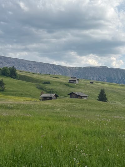 This is a vertical, wide-angle photograph of a rolling green mountain meadow in Kastelruth, Italy. The meadow is dotted with small wooden structures, appearing to be rustic huts or cabins, some with visible chimneys. In the background, a large, rugged mountain range dominates the skyline, its slopes covered in scree and rock. The sky is filled with dramatic, layered clouds, suggesting a partly cloudy day with the sun intermittently breaking through, illuminating different parts of the landscape. The grass in the meadow is lush and tall, interspersed with small wildflowers, adding patches of color to the green expanse. A lone evergreen tree stands on the hillside near one of the huts. The overall impression is one of a serene, natural alpine landscape, likely captured during daylight hours. There is no visible text in the image.